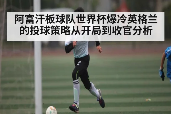 阿富汗板球队世界杯爆冷英格兰的投球策略从开局到收官分析（Xingkong）
